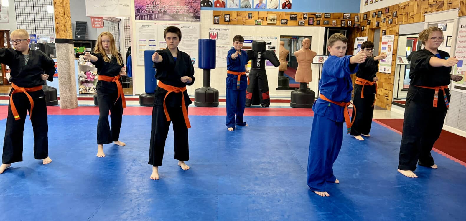 Bitanga’s Martial Arts Center After School