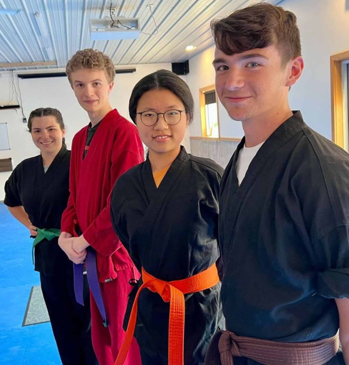 Bitanga’s Martial Arts Center Offers image